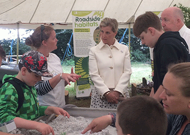 The Countess of Wessex with a small crowd of people at the New Forest Show