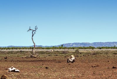 Image of drought