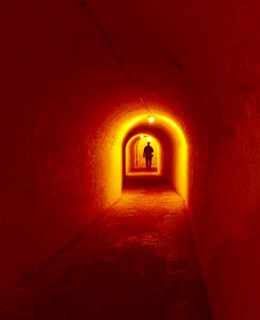 Newhaven Fort tunnel