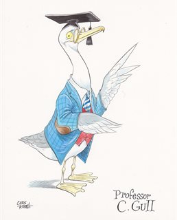 Professor C Gull