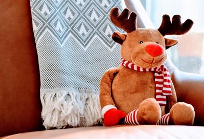 Rudolph photo by Tim Gouw