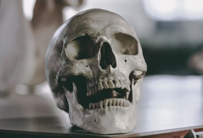 Skull photo by Sandro Katalina on Unsplash