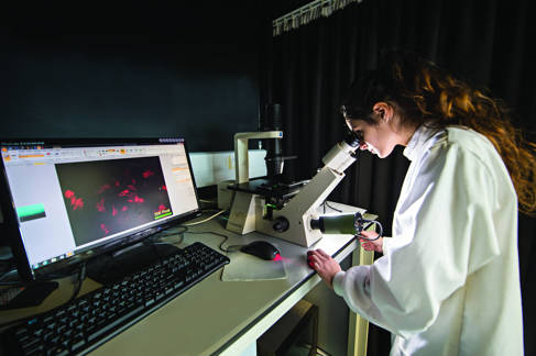 Biomedical science students using electronic microscope