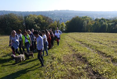 Dogwalkers on the Downs