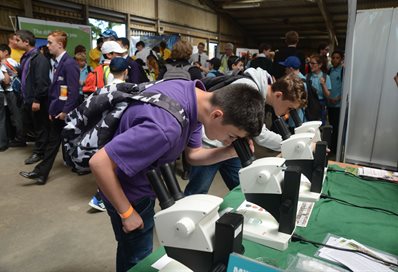 Student using microscopes