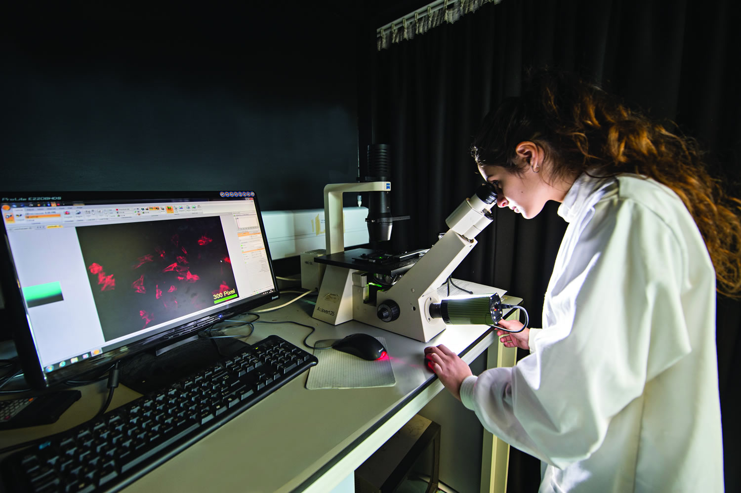 Biomedical science researcher