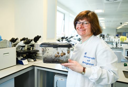 Dr Sarah Pitt and Snails in the lab