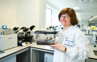Dr Sarah Pitt and her snails