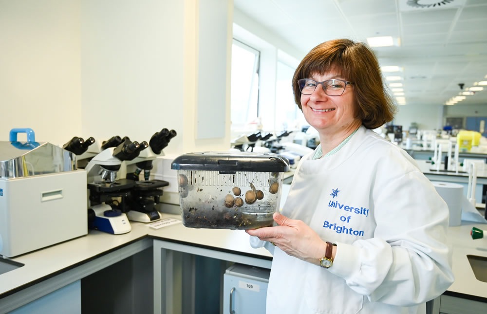 Dr Sarah Pitt and Snails in the lab