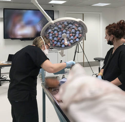 BSMS becomes first UK medical school to livestream human dissection