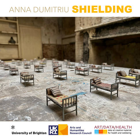 Shielding event by Anna Dumitriu poster