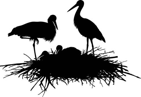 Black and white silhouette of two storks in a nest