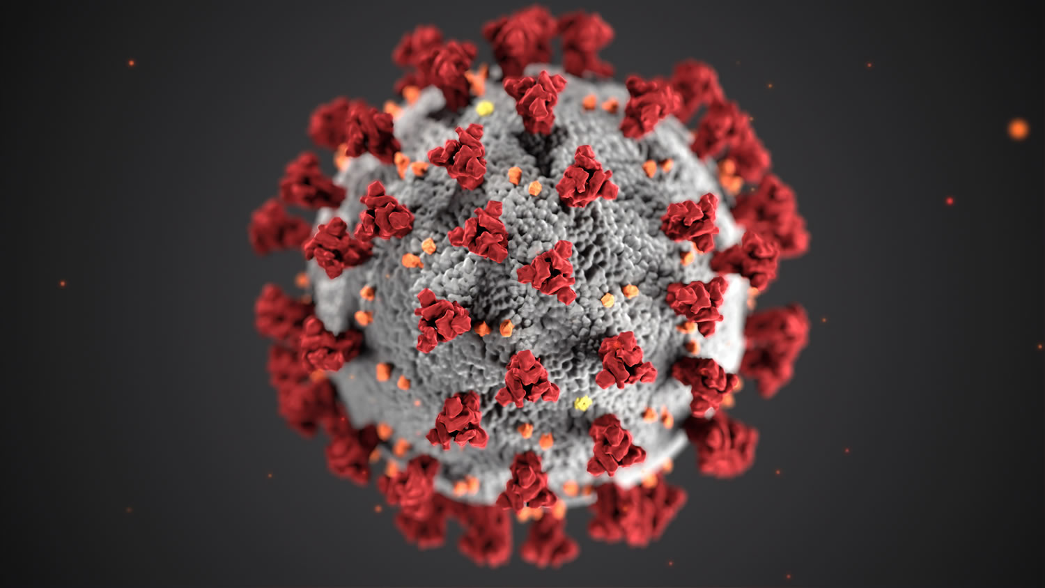 Virus image photo by CDC on Unsplash