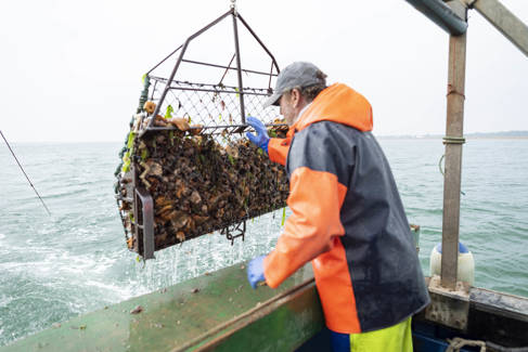 Fisherman at sea inspecting their catch