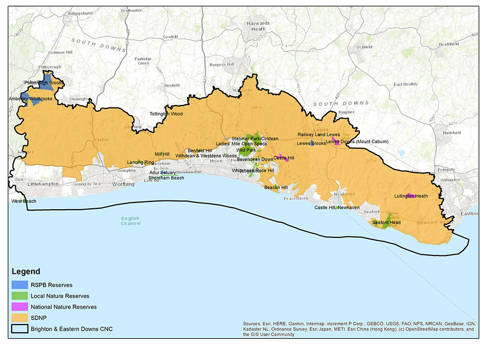 City Nature Challenge region map