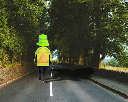 The rear view of a horse with a traffic sign on it walking down a road 