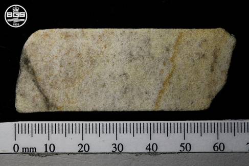 Sample of the Phillips' Stonehenge Core