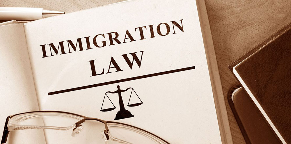 Immigration Law book image