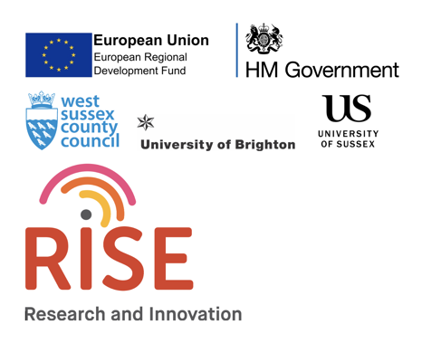 RISE project funder and partner logos