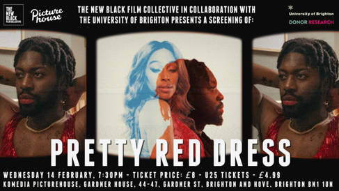 Pretty Red Dress poster