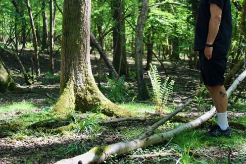 A man stands in a forest facing a tree (you can't see his face).