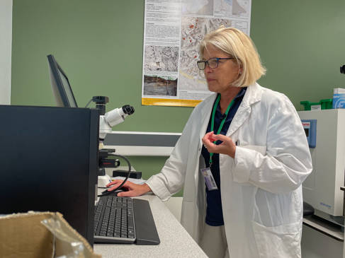 Dr Corina Ciocan