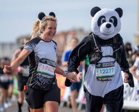 Marathon Panda Bear