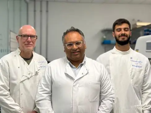 Rameen and BIG Unit Team