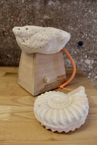 A telephone shaped like a shell fossil