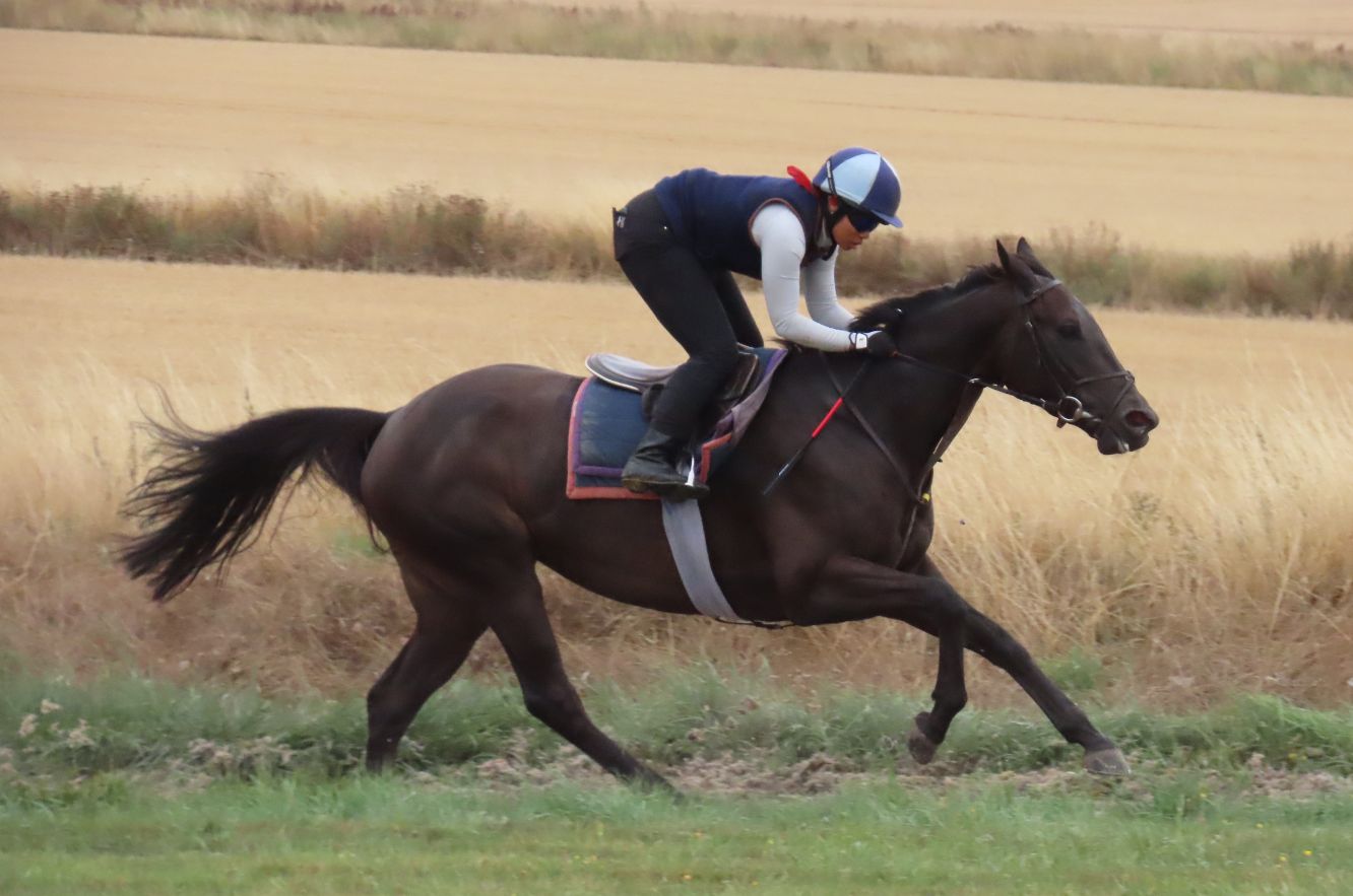 A young female jockey rides a horse