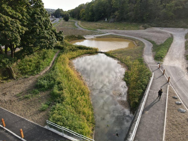 Aerial shot of the rainscape from above