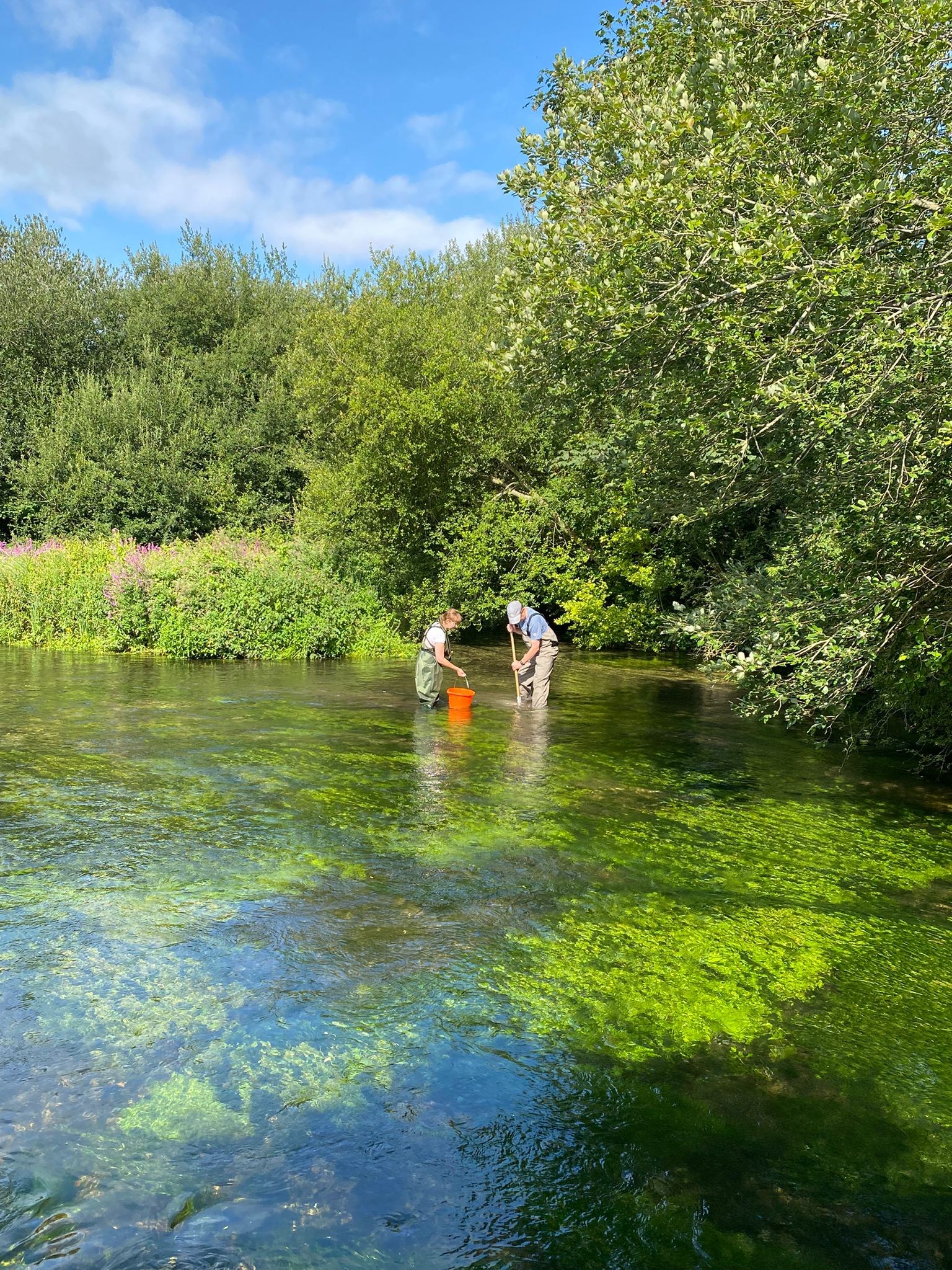 Microplastics testing