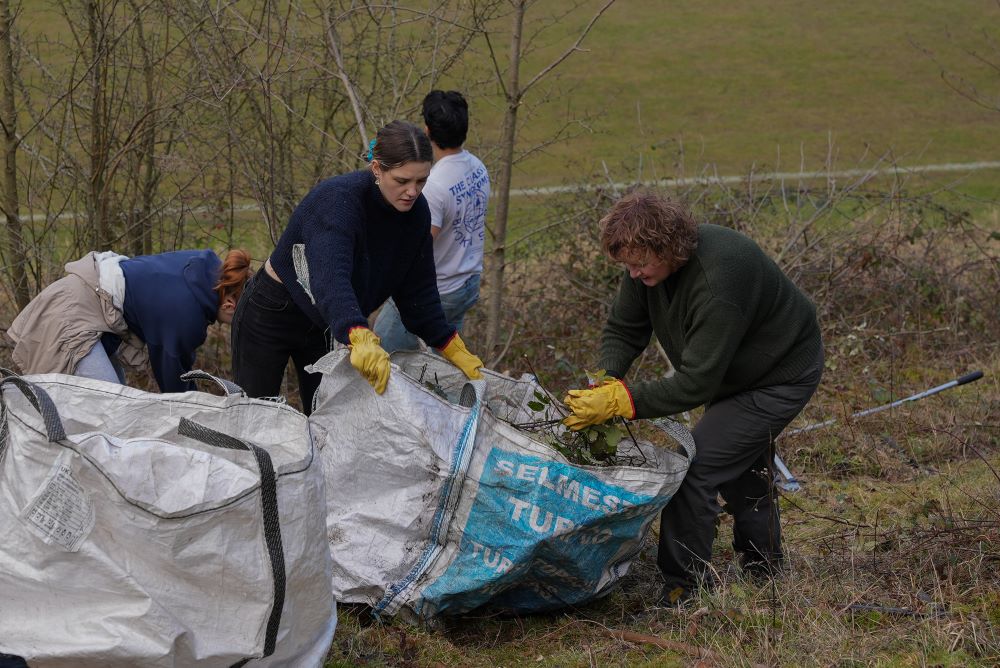 Volunteers at chalk grassland restoration bagging up debris