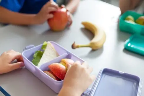 Children's colourful lunchboxes with sandwiches and fruit in them