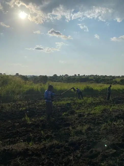 Farmers in the Gambia