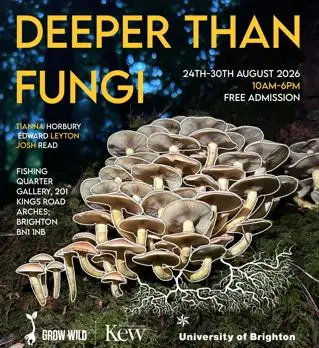 Fungi poster