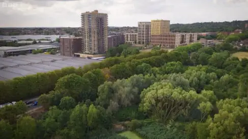 Wildnerness in the middle of the city environment