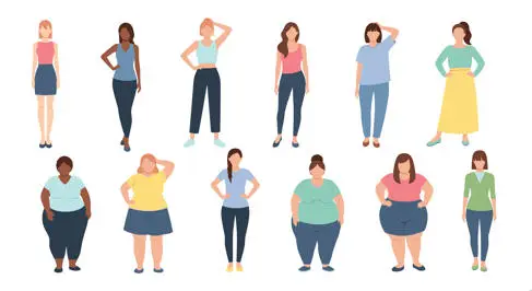Line up of different body types