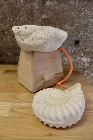 The Fossil Phone