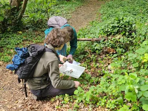Two boys crounch in the woods and collect samples