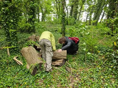 Two young men crouch near a log in the woods and collect samples