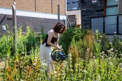 Young female student waters flowers