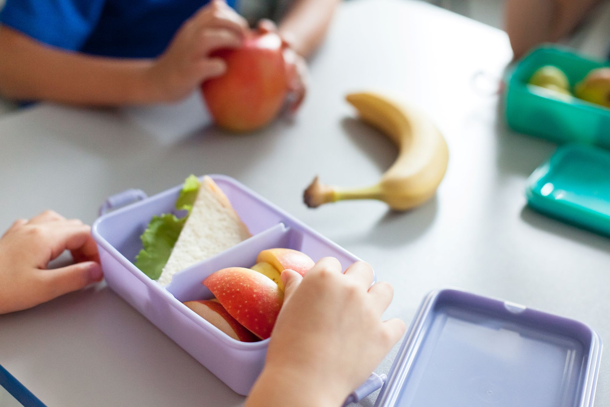 Children's colourful lunchboxes with sandwiches and fruit in them
