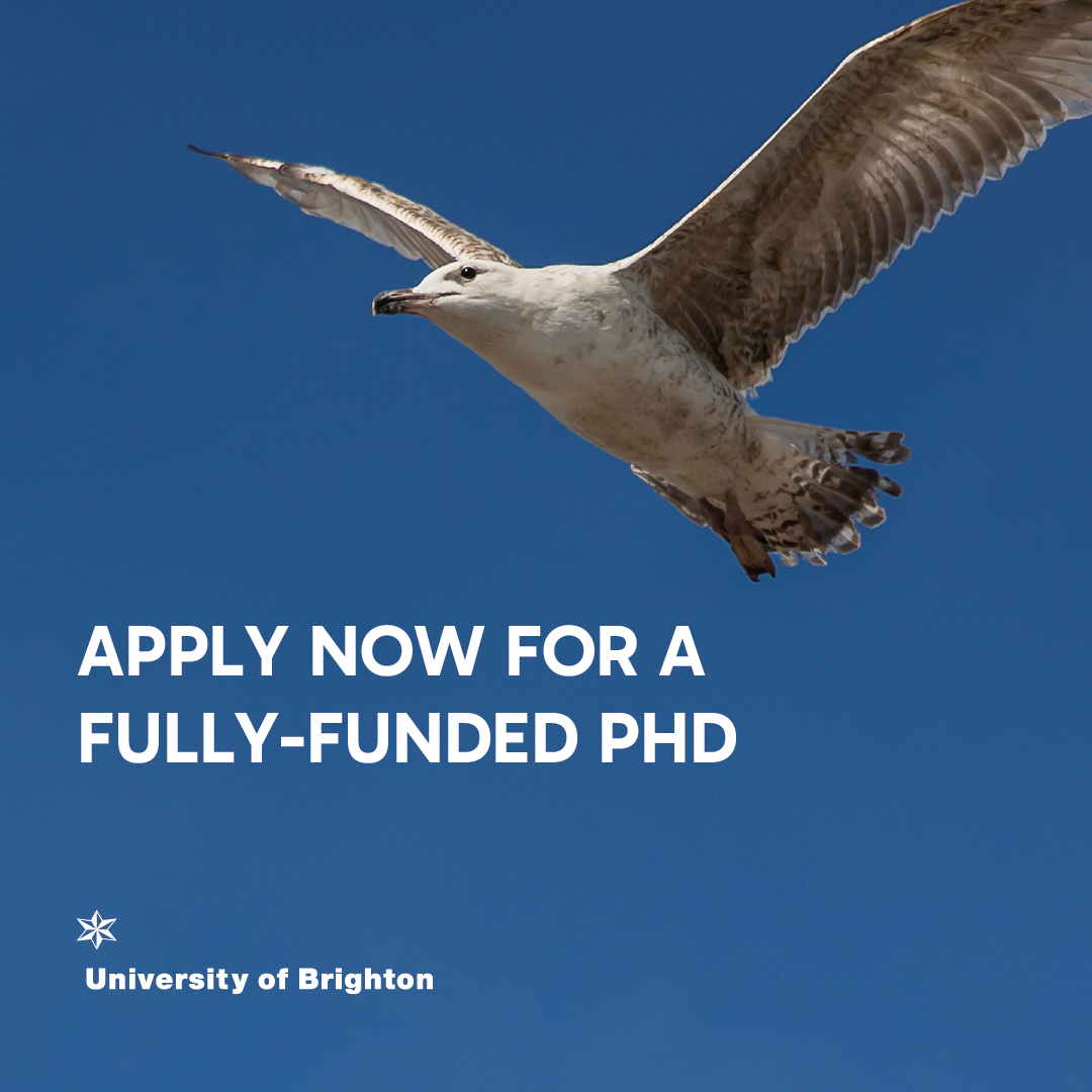 Funded-phd-2026.05-social-square