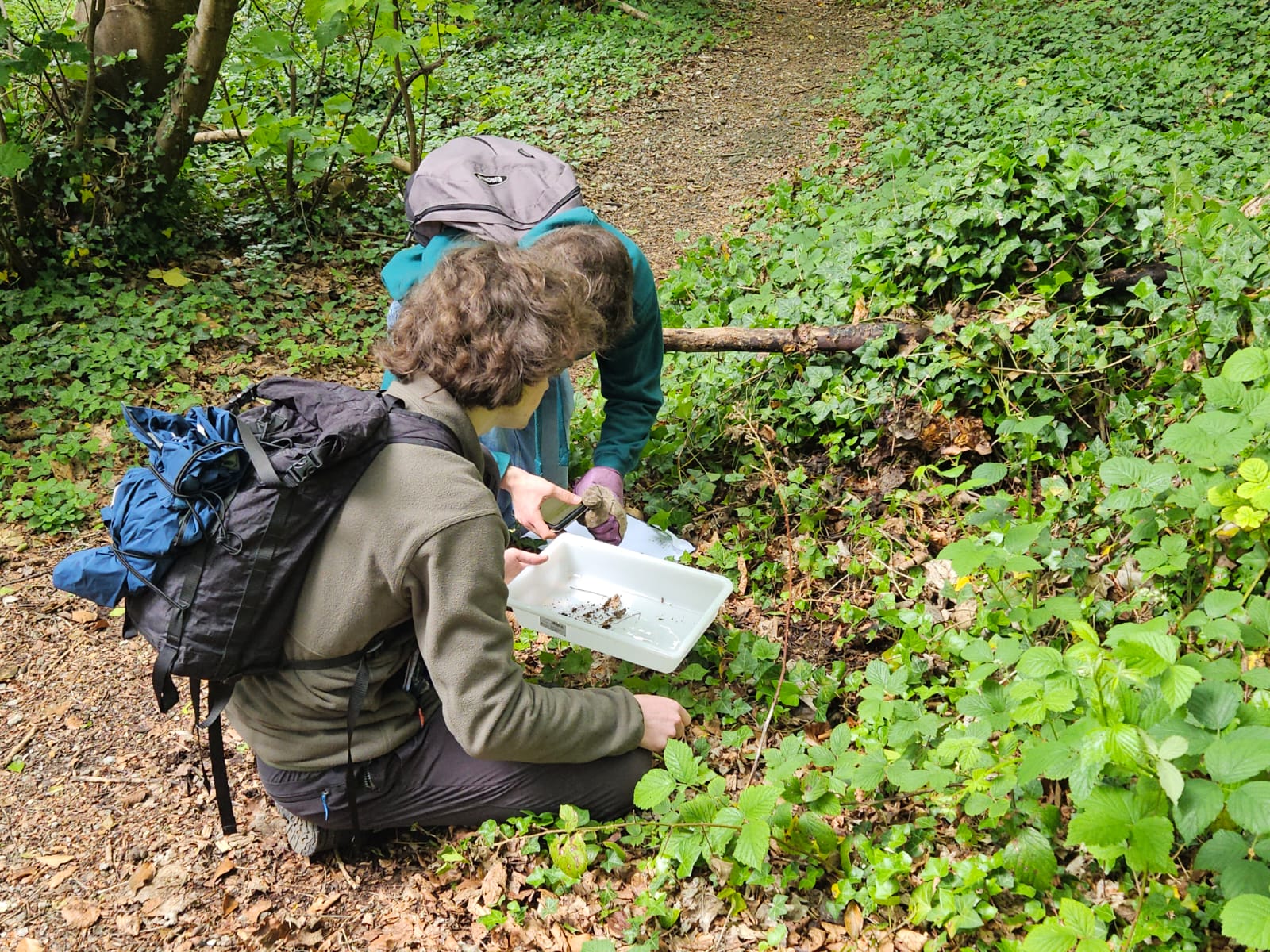 Two boys crounch in the woods and collect samples