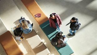 Business students chatting on stairs