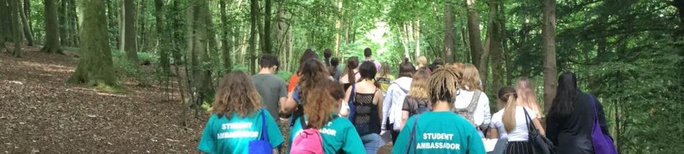 Creative writing walk