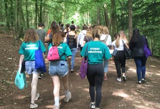 Creative writing walk through a forrest with students and ambassadors