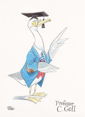Illustration of a seagull in a jacket and square academic cap by Chris Riddell