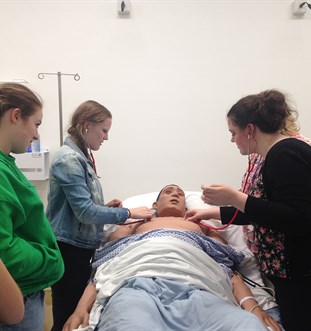 Healthcare students in a clinical setting with a SIM patient